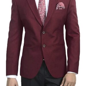 Hariom Van Men's Slim Fit Formal/Party Blazer